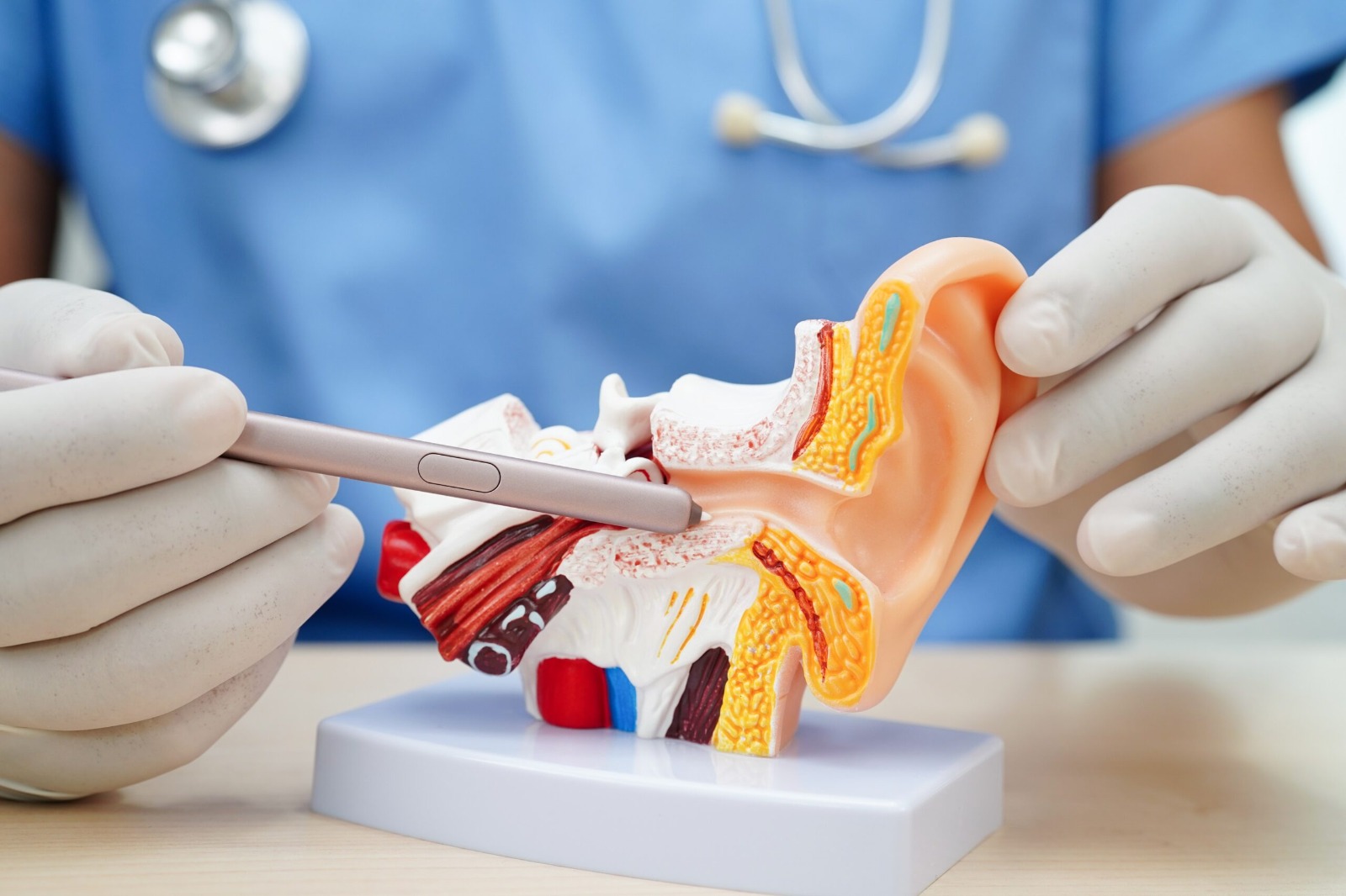 DOH Mock Test for Specialist Otolaryngology
